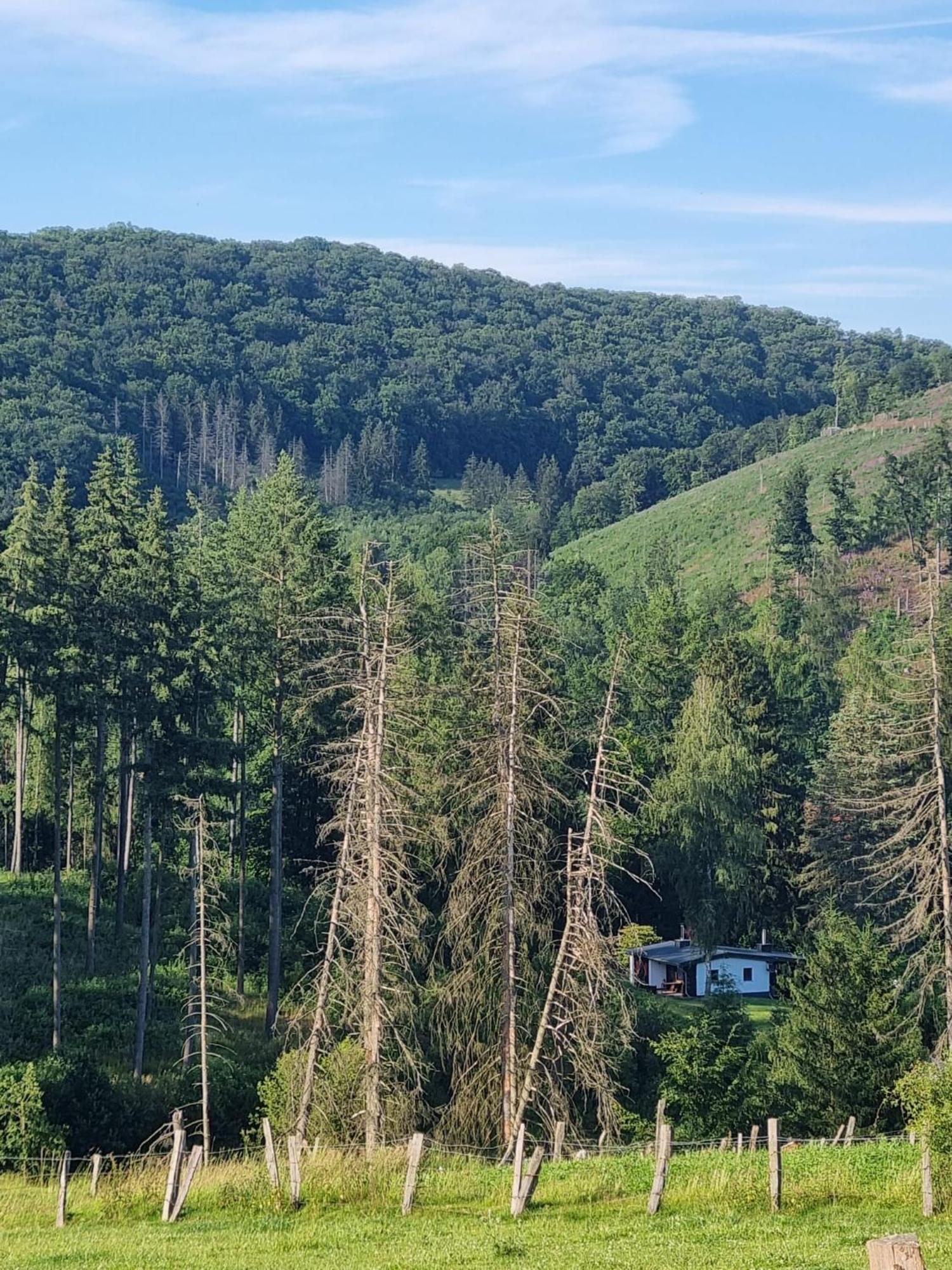 Explorer'S Lodge & Camping Helminghausen Dış mekan fotoğraf